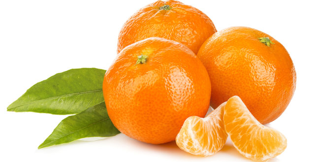 mikanのアプリが学生だけではなく社会人にも人気がある理由とは?