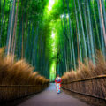 京都・嵐山～保津峡の紅葉は保津川下りとトロッコ列車がおすすめ