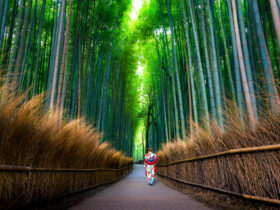 京都・嵐山～保津峡の紅葉は保津川下りとトロッコ列車がおすすめ