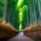 京都・嵐山~保津峡の紅葉は保津川下りとトロッコ列車がおすすめ