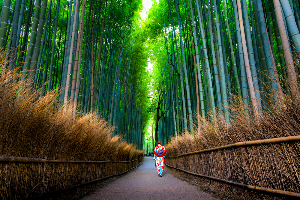 京都・嵐山～保津峡の紅葉は保津川下りとトロッコ列車がおすすめ