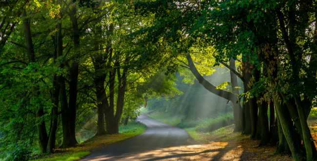 藤井風の出身はどこ？歌声に癒される人続出！2020年注目の天才シンガー