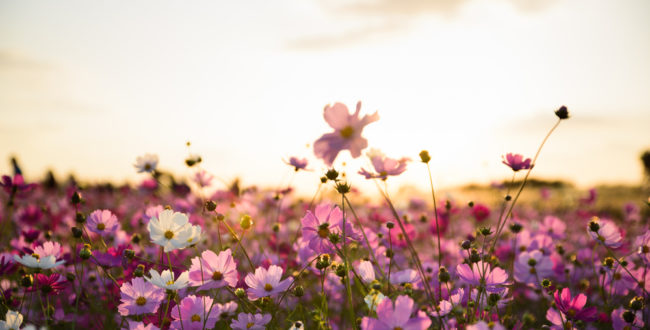 佐藤栞里の笑顔に癒される！バラエティのサブMCで人気のモデルタレント