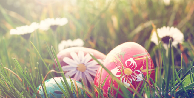 「しゅごキャラ!」の新装版が続々発売！従来のものとの違いは？