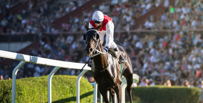 「群青のファンファーレ」のアニメの内容が気になる!