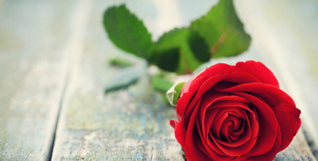 「Ib」のリメイク版が気になる！ゲームの概要や魅力についても詳しく知ってみよう