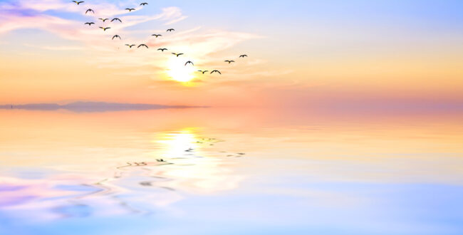 「グランブルーファンタジー」の新作「Relink」が登場！ゲーム内容や魅力について