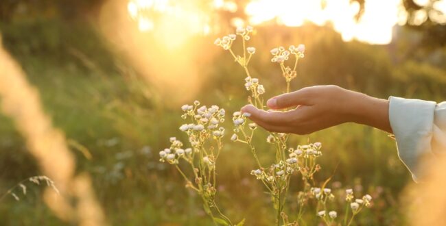 yama「オリジン」の歌詞の意味を考察！アプリゲームのキャンペーンソングに！