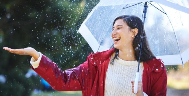 「シバつき物件」の4巻はいつ発売？ホラーと可愛いワンちゃんの奇跡の融合