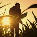 こっちのけんと「ごくろうさん」の歌詞の意味は？曲から感じるメッセージ