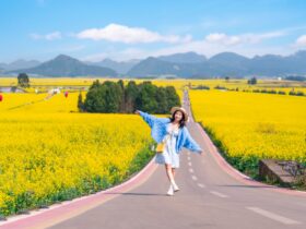 「おひとり様には慣れましたので。婚約者放置中!」が注目度マックス！最新刊や魅力