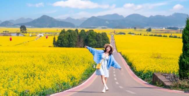 「おひとり様には慣れましたので。婚約者放置中!」が注目度マックス！最新刊や魅力